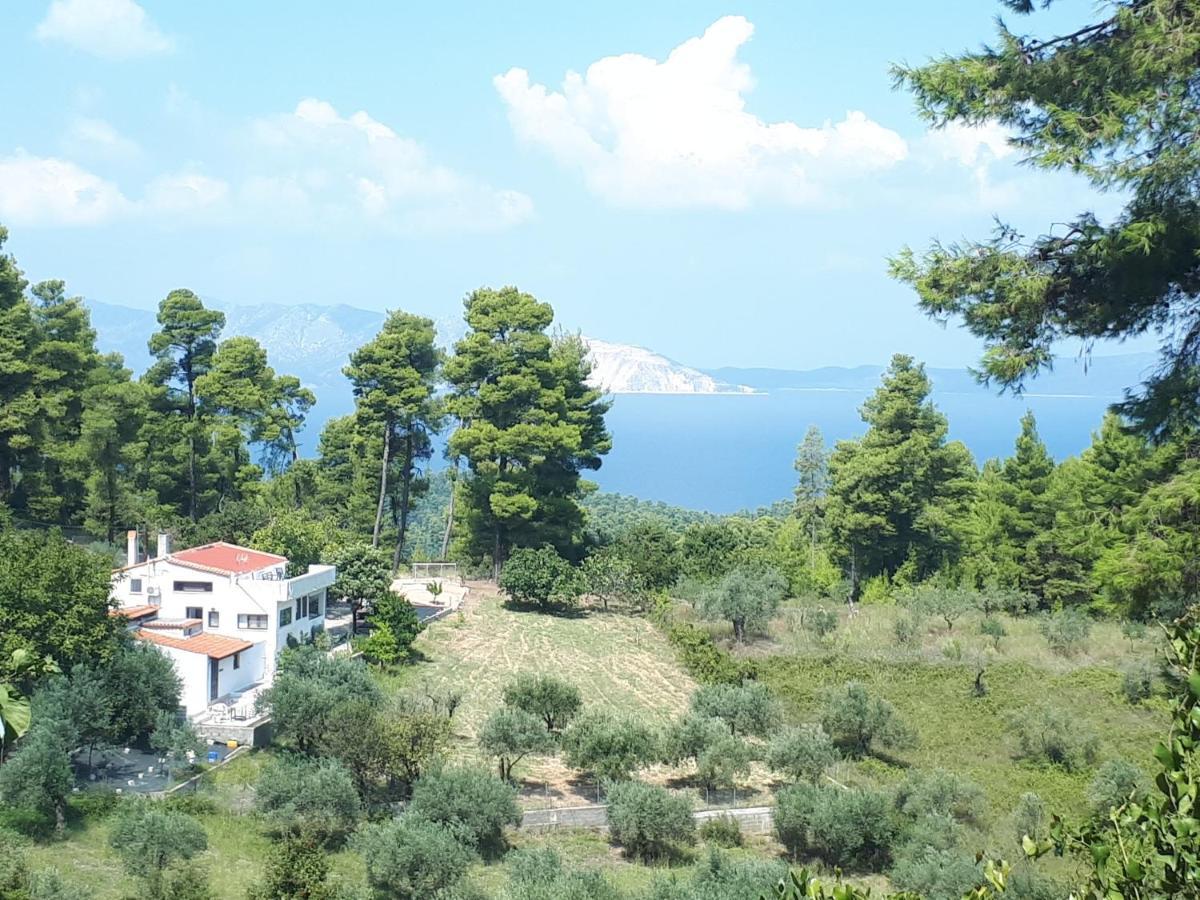 Wildherb House Agriovotano Exterior foto