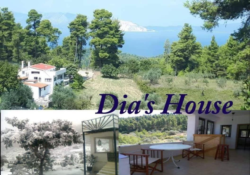 Wildherb House Agriovotano Exterior foto