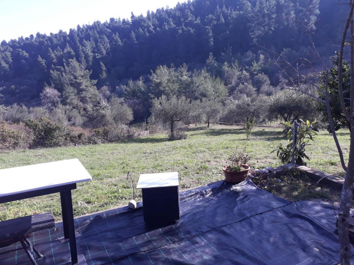 Wildherb House Agriovotano Exterior foto