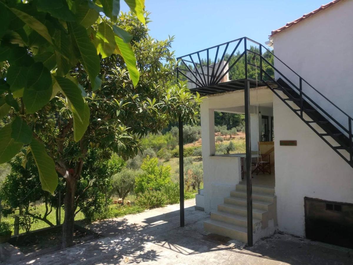 Wildherb House Agriovotano Exterior foto
