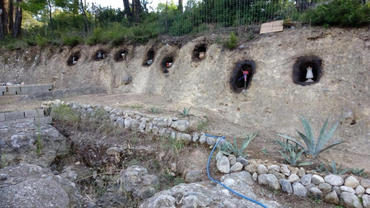 Wildherb House Agriovotano Exterior foto