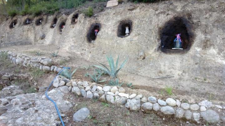 Wildherb House Agriovotano Exterior foto